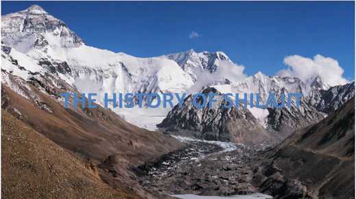 SHILAJIT: THE HISTORY