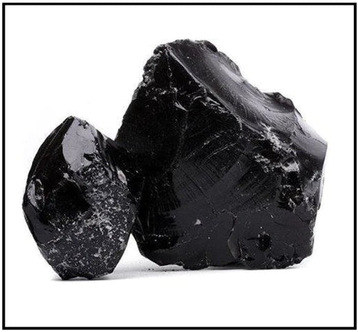 Shilajit in preventing Alzheimer’s disease